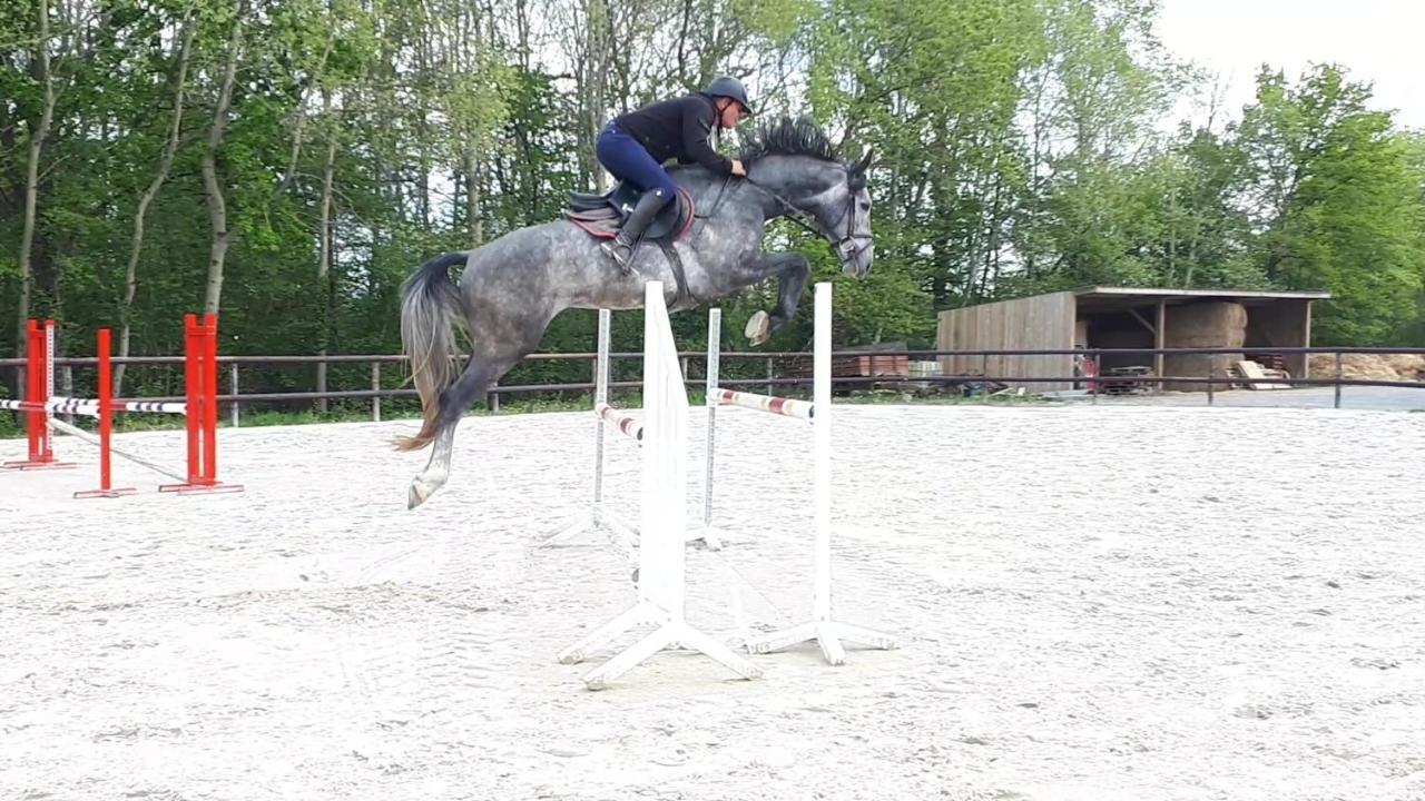 Gite Du Haras De Vales Moult Bagian luar foto