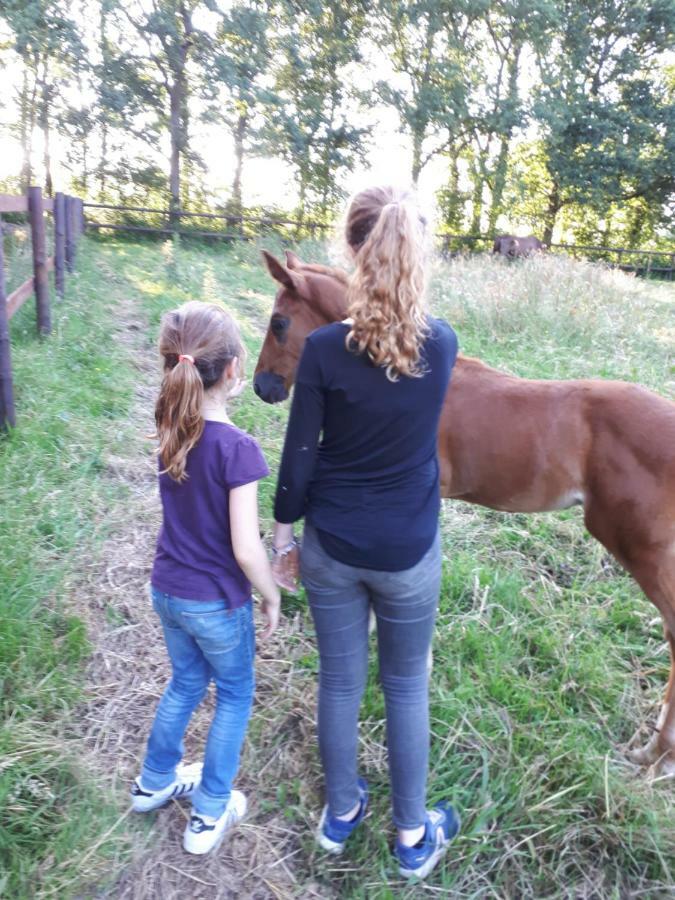 Gite Du Haras De Vales Moult Bagian luar foto